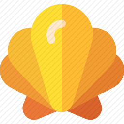 <em>贝壳</em>
