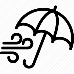 <em>风</em>