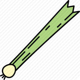 葱
