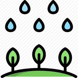 雨