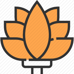 莲花
