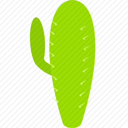 仙人掌
