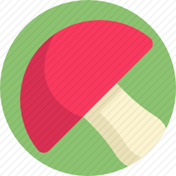 <em>蘑菇</em>