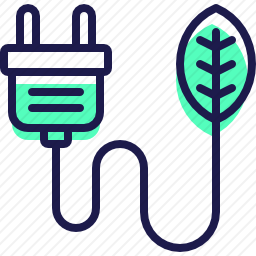 <em>插头</em>