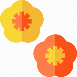 <em>花</em>
