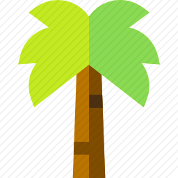 棕榈树