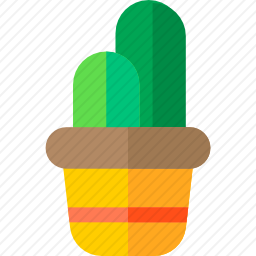 仙人掌