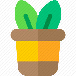 植物