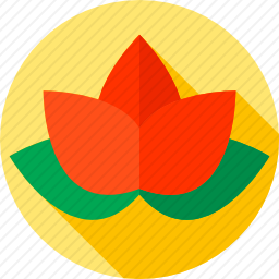 <em>荷花</em>