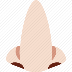 鼻子