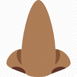 鼻子