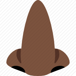 鼻子