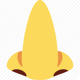 鼻子