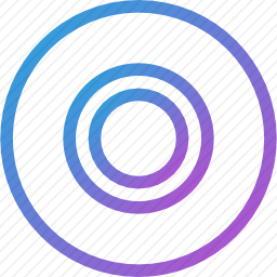 <em>录音</em>