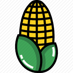 <em>玉米</em>