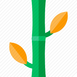 竹