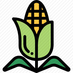 <em>玉米</em>