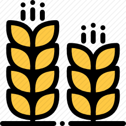 小麦