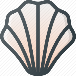 <em>贝壳</em>