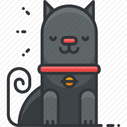 猫