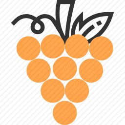 <em>葡萄</em>