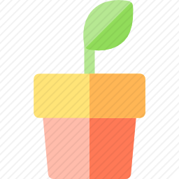 植物