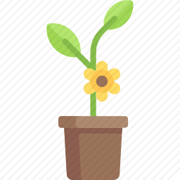 植物
