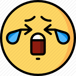 <em>哭</em>