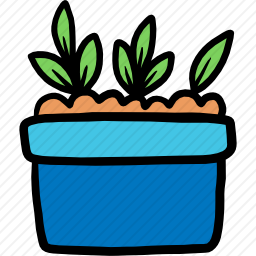 植物