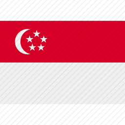 <em>新加坡</em>