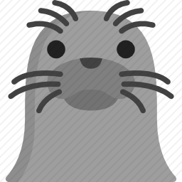 <em>海豹</em>