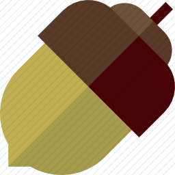 橡子