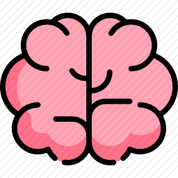 <em>大脑</em>