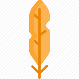 羽毛