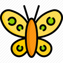 <em>蝴蝶</em>