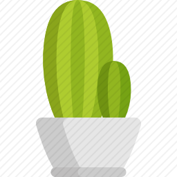 <em>仙人掌</em>