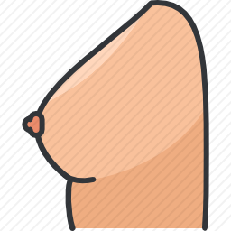 乳房