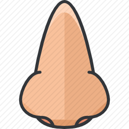 鼻子