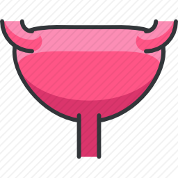 子宫