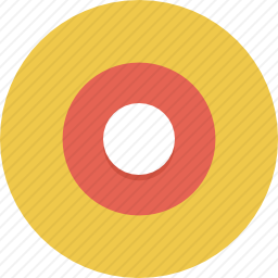 <em>录音</em>
