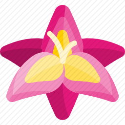 唐菖蒲