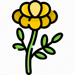 花