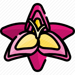 唐菖蒲