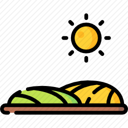 野外