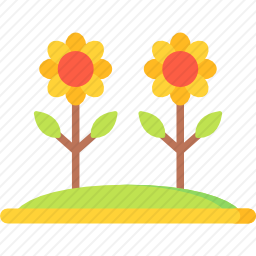 花
