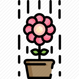 植物