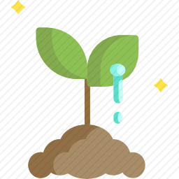 植物