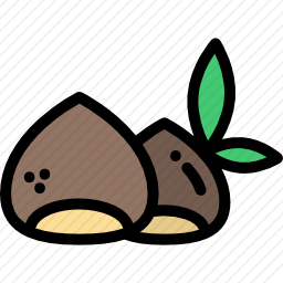 板栗