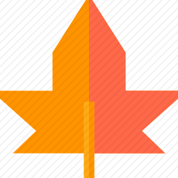 <em>枫叶</em>
