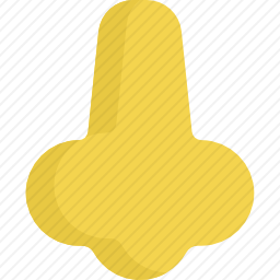 鼻子